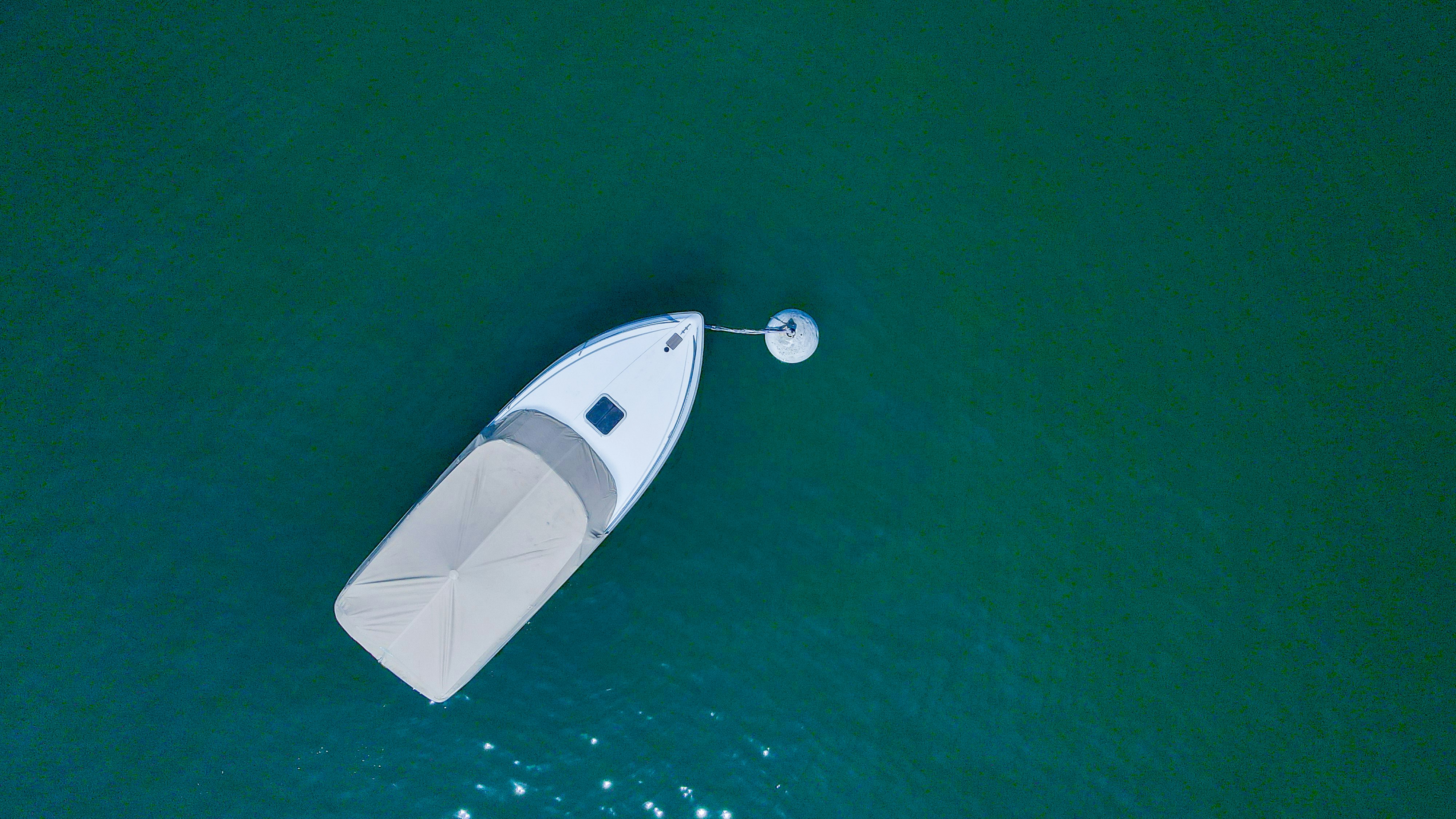 white and black boat on green water